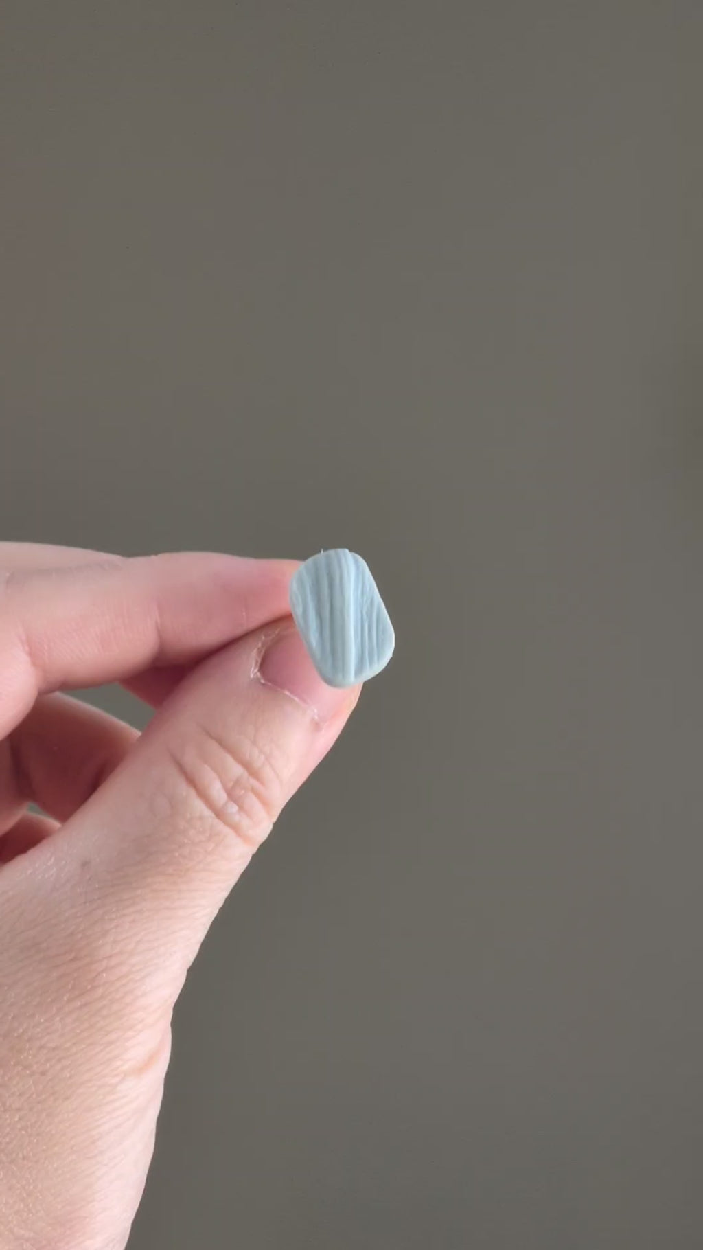 The Organic Pebble in Botanical Sage | Pebble Ear Studs