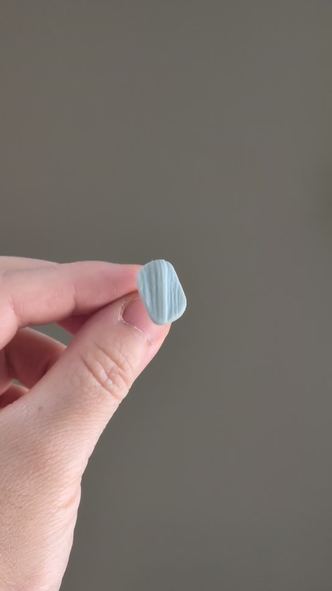 The Organic Pebble in Botanical Sage | Pebble Ear Studs